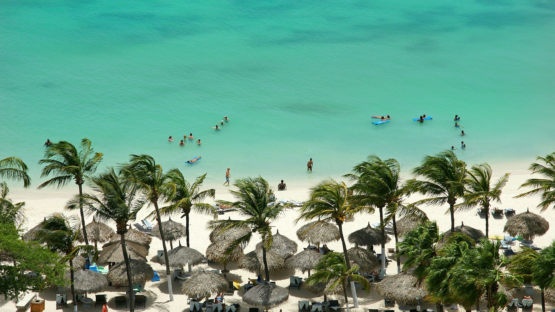 Eagle Beach with divi-divi trees in Aruba