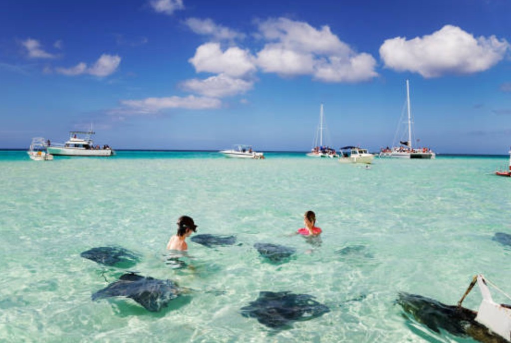 Stingray City sandbar in Grand Cayman