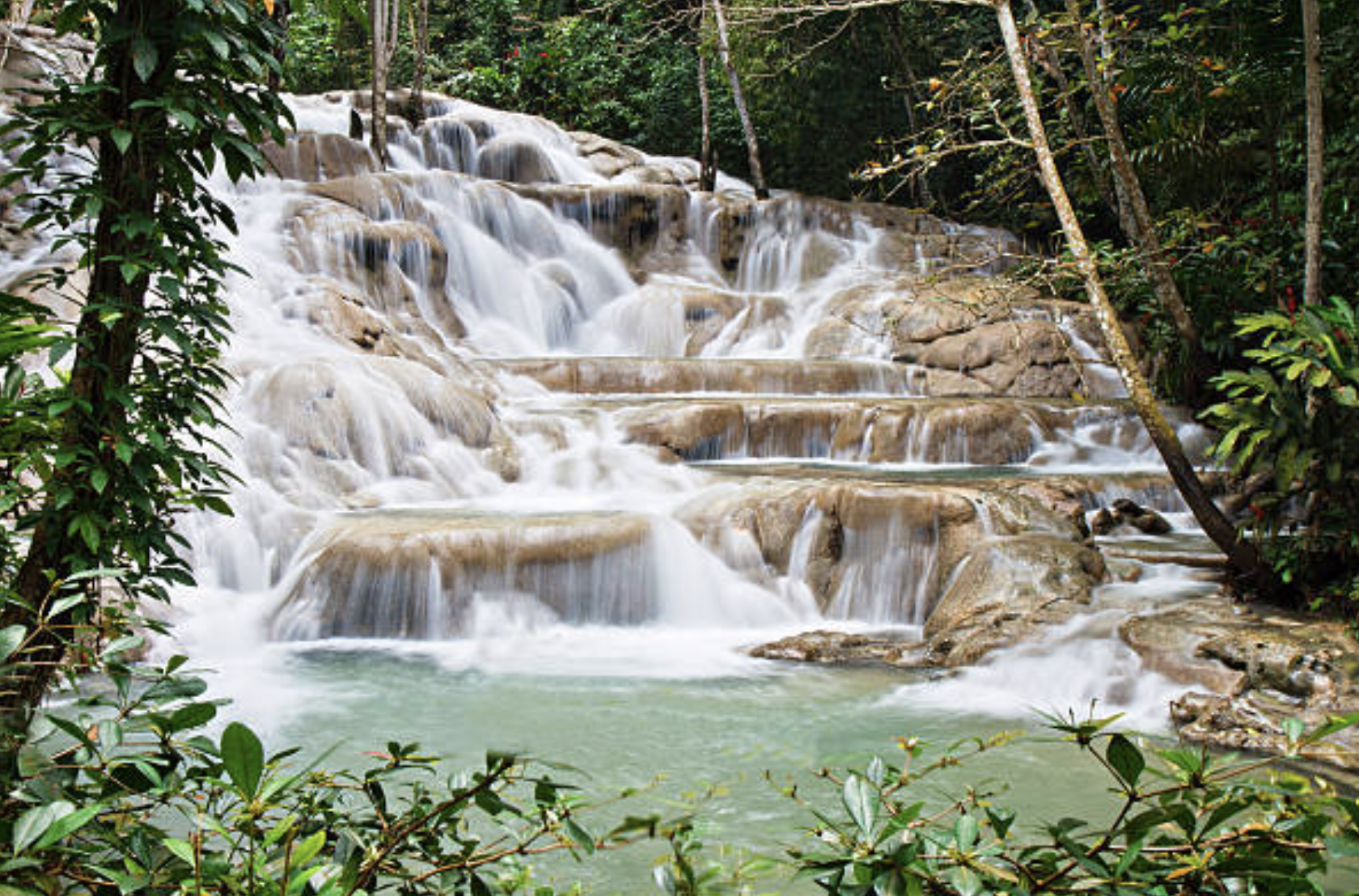Visitors climbing the terraced Dunn's River Falls in Jamaica